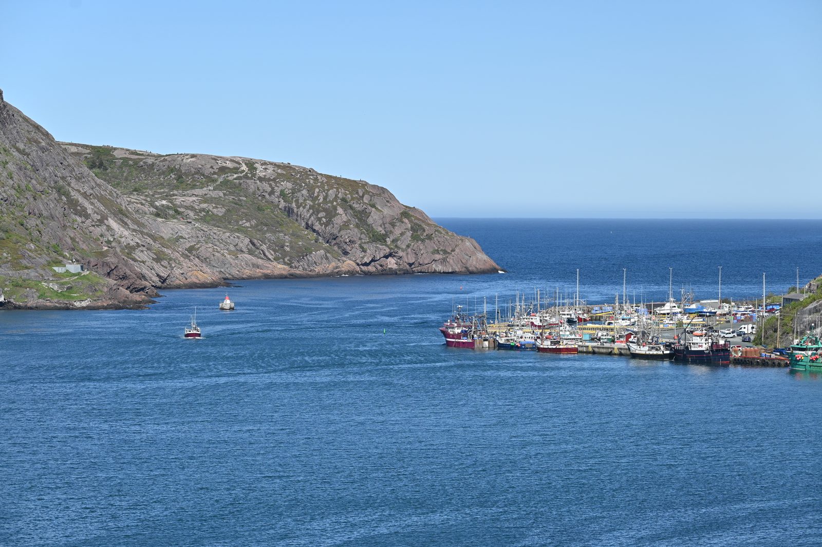 DSC_6817.JPG